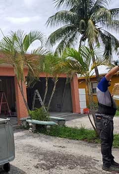 Garage Door Installation In Rollingwood